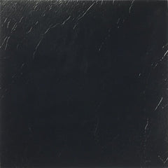 101NEXUS VNL TILE 12''SOLID P20