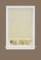 CELLULAR SHADE 23X64 ALBSTR P6